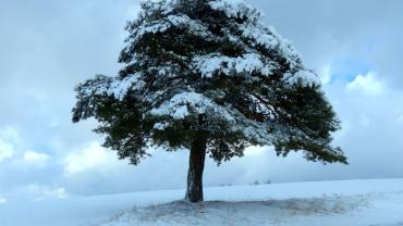 87638112 3008366492534803 2868701273673170944 O