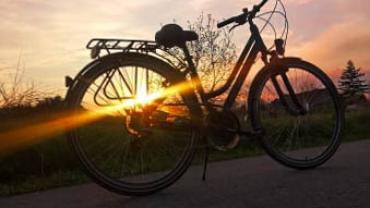 96066525 858182537992786 3896186999974920192 N