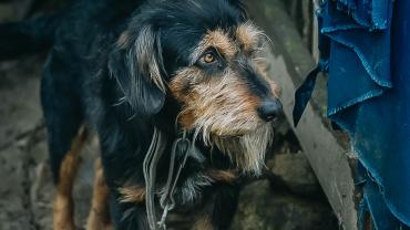 97447519 882215072251727 1389807260426829824 N