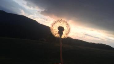 99355506 864279940746299 4686091997503553536 N