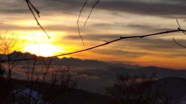 For. Tomasz Czyzycki