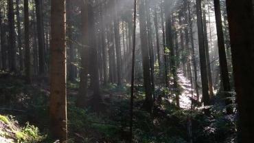 118529102 3460427927328655 7599337011989044850 O