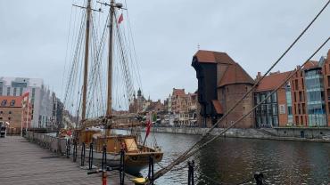 118530545 3460430407328407 7912844579504584832 O