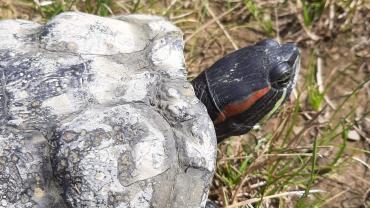 118534063 3460430860661695 8744486707100630896 O