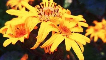 118534217 3460426097328838 4266832076388181478 O