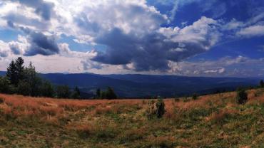 118534582 3460426720662109 3273854681863449600 O