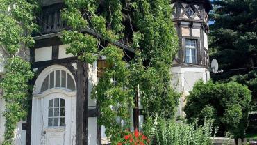 118540933 3460429750661806 3121995386921262842 O