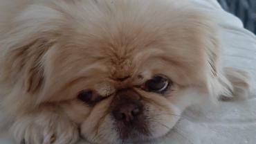 118555134 3460431013995013 2697658424655648758 O