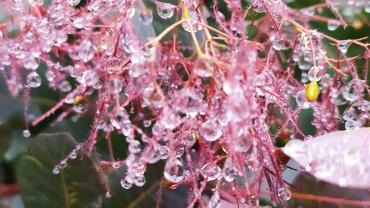 118559215 3460426603995454 5079861672804910648 O