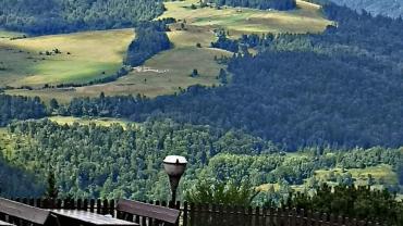 118568410 3460429377328510 1907915840148870915 O