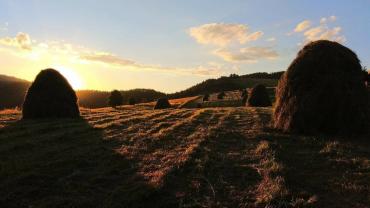 118580625 3460428070661974 8124431367646645828 O