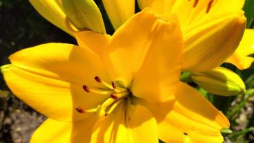 118580774 3460425953995519 3699456213780516502 O2