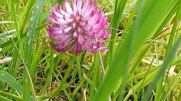 118594289 3460428630661918 5640423672272156418 O