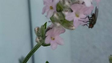 118597576 3460428443995270 155188644948125050 O