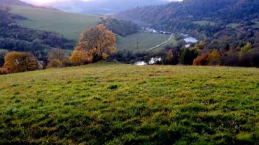 118599645 3460427513995363 1952668899006790294 O