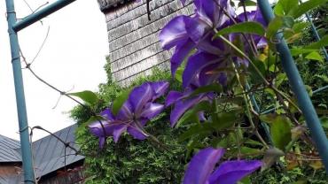 118601501 3460429027328545 4862879982613831999 O