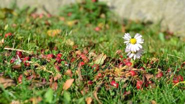 118617535 3460427173995397 2329216129927542208 O