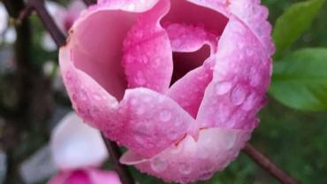 118622927 3460425250662256 4417449018461010791 O