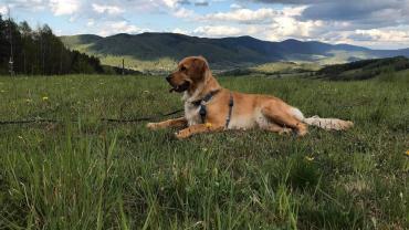 118626304 3460425553995559 4548261408475848657 O