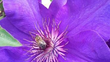 118655461 3460428777328570 1943742627974803231 O