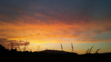 Lumii 20200827 162457010