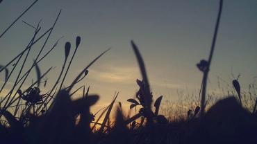 Lumii 20200827 162516053