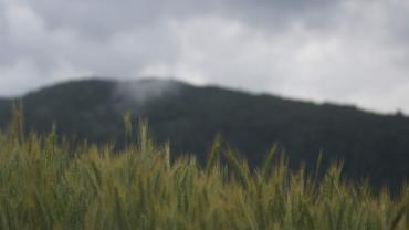 Received 3252261608176675