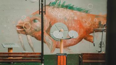 119391464 322917888770850 1282914998206808419 N