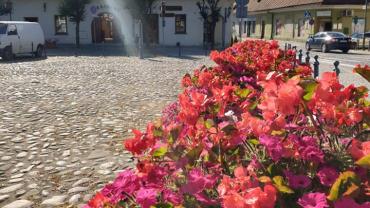 119576564 10213963209793032 7240485252680279918 N