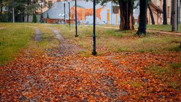 120576379 10214052550426492 5332272558465572645 N