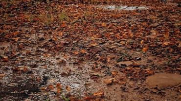 120598091 10214052551346515 2661474118570176289 N