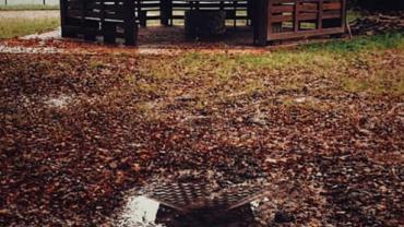 120600349 10214052549626472 8197677844374327431 N