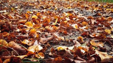 120751312 10214052551066508 6896446842856669102 N