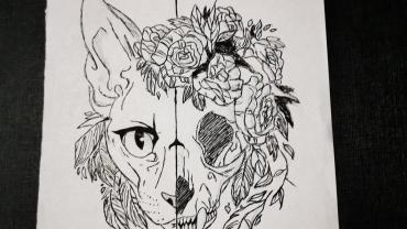 120837760 186220396354474 2507679303433658017 O