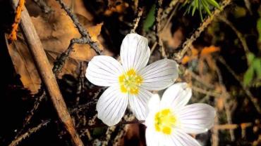 Fb Img 1602754285475