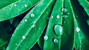 Received 3355836067785919