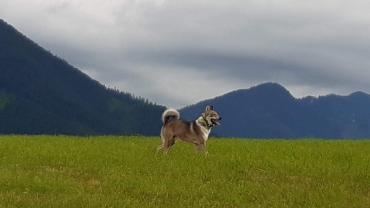 Received 392342191928531 01