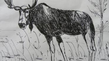 122635350 193603628949484 3542373628435302041 O