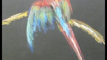 123136940 193605415615972 7916655114679474117 N