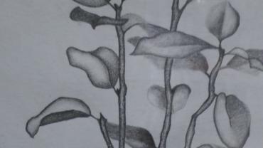 123165968 193603655616148 4747063887176351617 O