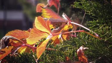 123466979 10214199072169444 5687498282104530709 N