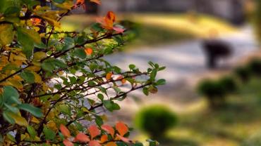 123571350 10214199074409500 5765687111562067623 N