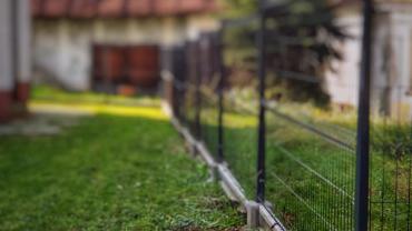 123580468 10214199073249471 5212904791097827099 N