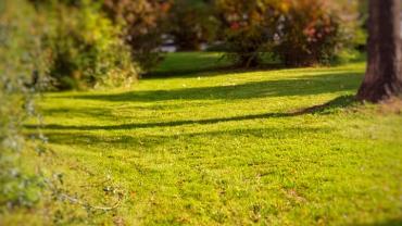 123603457 10214199073609480 8439472241321220350 N