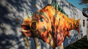 123647475 10214199075489527 1391434168289833501 N