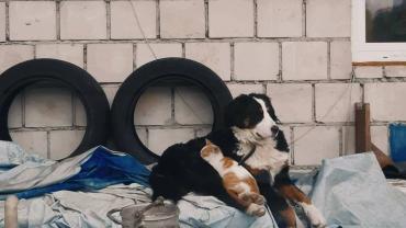 123678658 3676290355742410 2537326199266289354 O