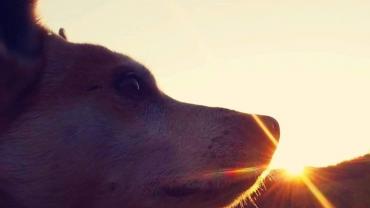 123681399 3676290399075739 4849662260933744618 O