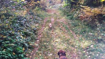 123681958 3676296832408429 7325802315126352919 O