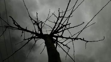 123681958 3676297582408354 5362938936408181745 O