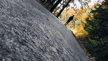 123682340 3676290525742393 2955825773965708939 O